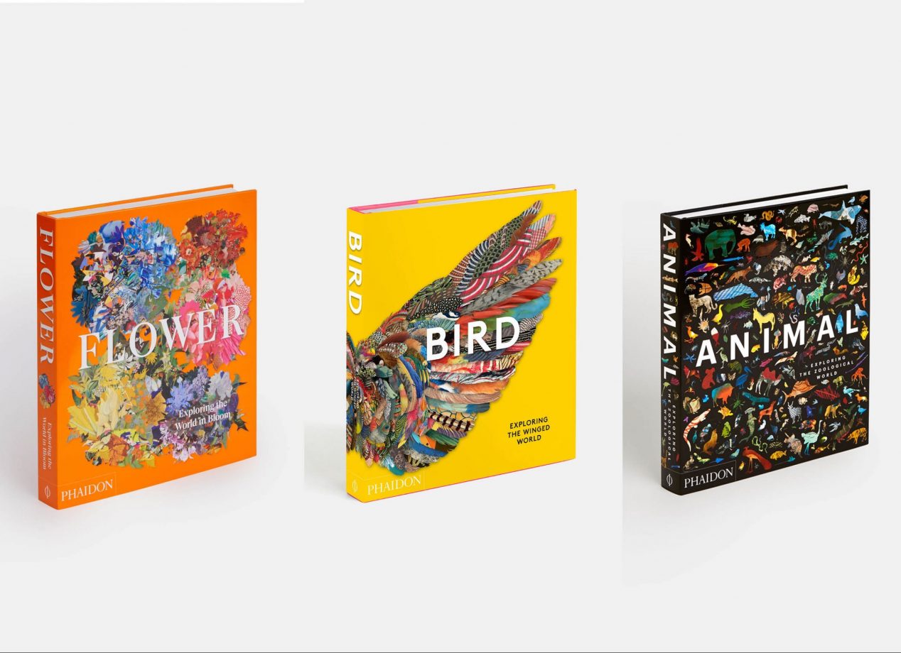 Giovanni Aloi writes for Phaidon's new book 'Bird'
