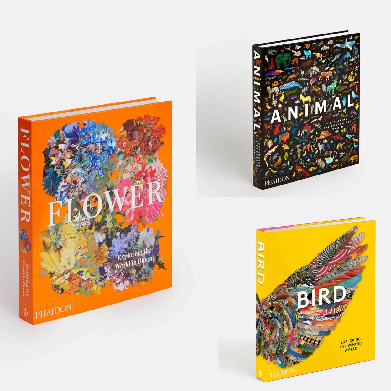 Giovanni Aloi writes for Phaidon's new book 'Bird'